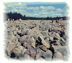 That's the boulder field stupid!
